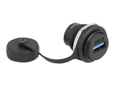 Delock Einrastmodul - USB 3.2 Gen 1 mit Staubschutzkappe - USB - 1 USB-Anschluss