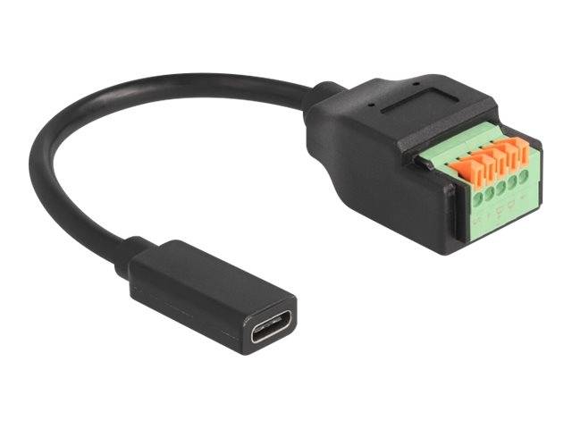 Delock USB-Adapterkabel - 24 pin USB-C (W) - zu 5-poliger Anschlussblock - 15 cm