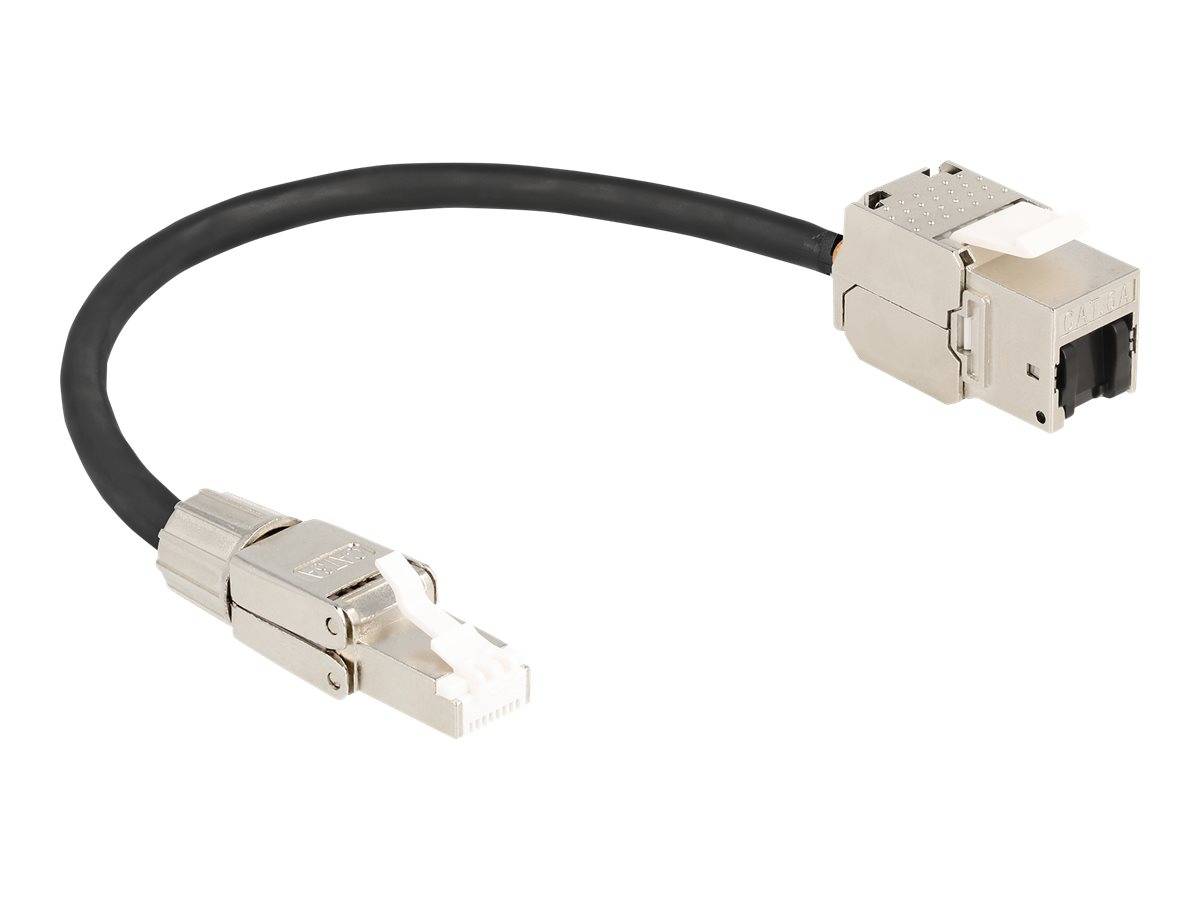 Delock Netzwerkverlängerungskabel - RJ-45 (W) - zu RJ-45 (M) - 25 cm - S/FTP - C