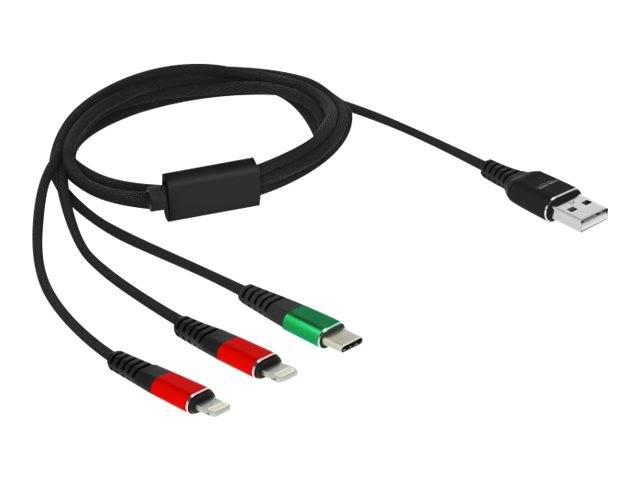 Delock 3 in 1 - Kabel nur zum Laden - USB männlich zu 24 pin USB-C, 2 x Apple-Be