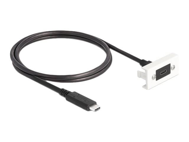 Delock USB-Kabel - 24 pin USB-C (W) zu 24 pin USB-C (M) - 1 m - weiß - RAL 9003