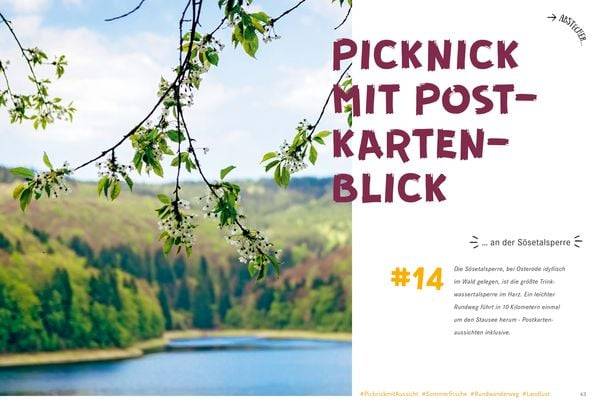 52 kleine & große Eskapaden rund um Harz