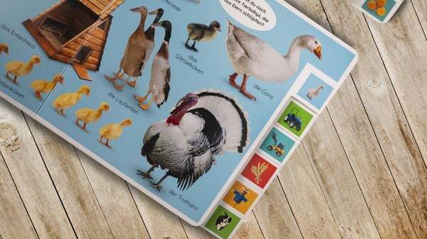 Erstes Lernen. Fahrzeuge