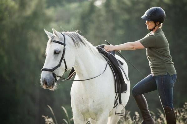 Einfach (An)Reiten