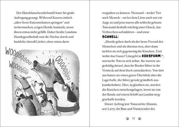 Ninja Cat (Band 3) - Die Rache des Superschurken