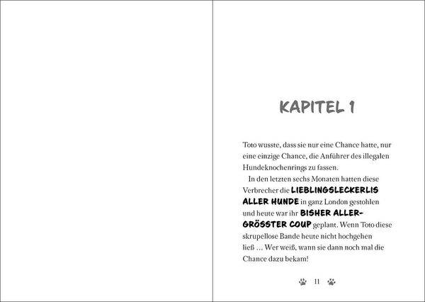 Ninja Cat (Band 3) - Die Rache des Superschurken