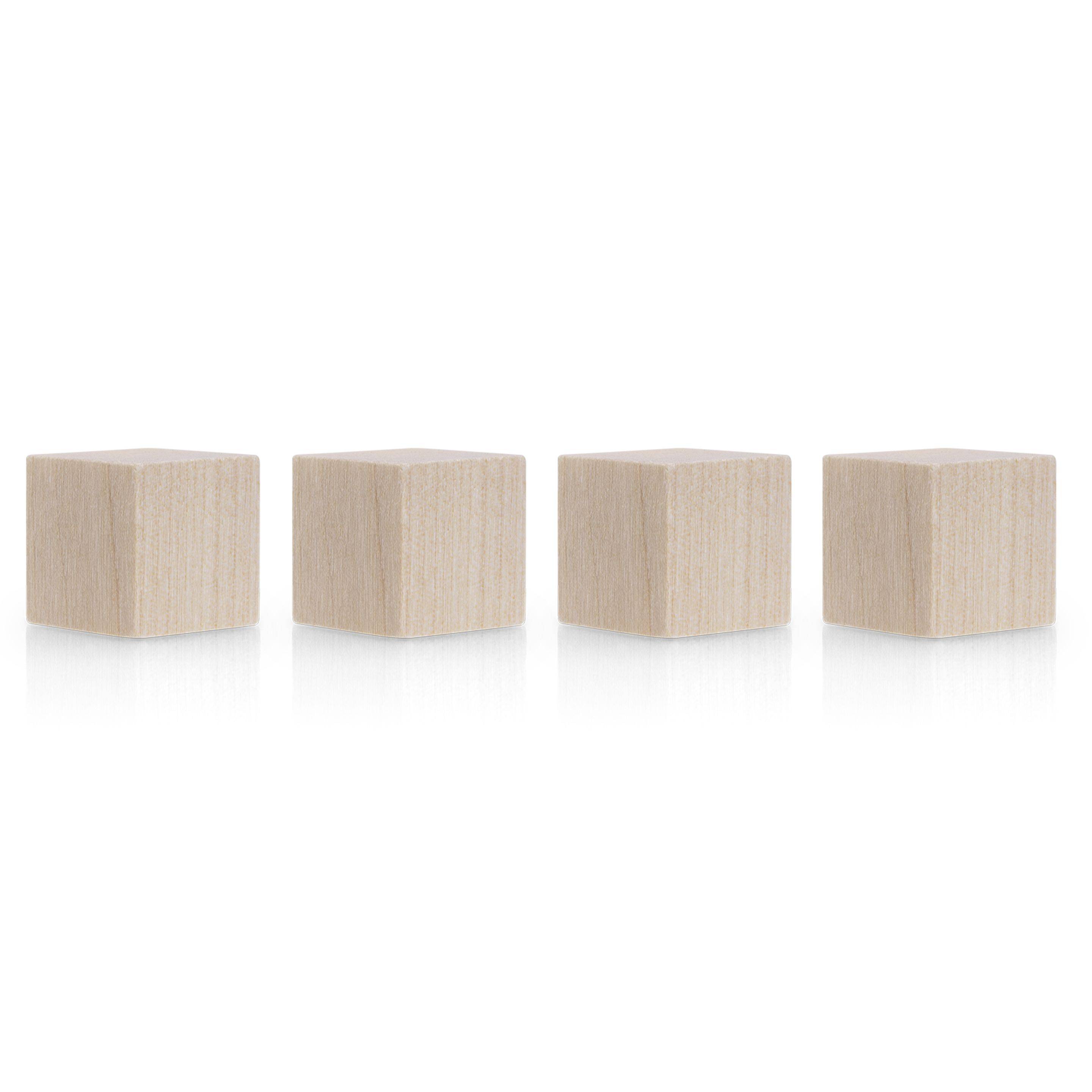 Magnetoplan Design Magnets Wood Series - Cube 20x20x20mm - Birke - 4Stk