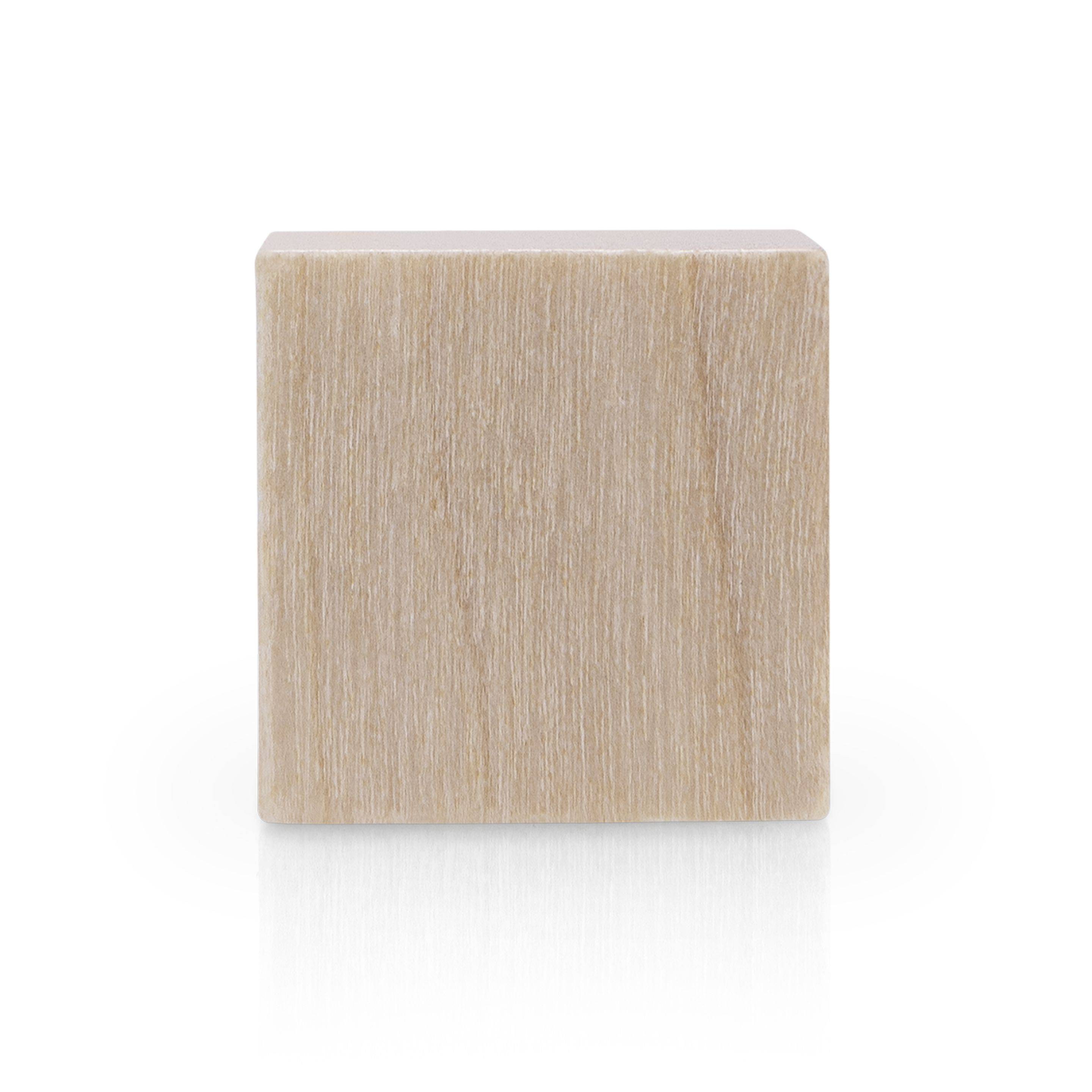 Magnetoplan Design Magnets Wood Series - Cube 20x20x20mm - Birke - 4Stk