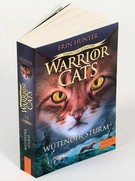 Warrior Cats - Vision von Schatten. Wütender Sturm