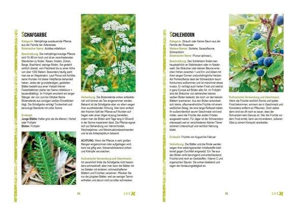 Survivalpflanzen. Die 100 wichtigsten Pflanzen zum Überleben in der Wildnis