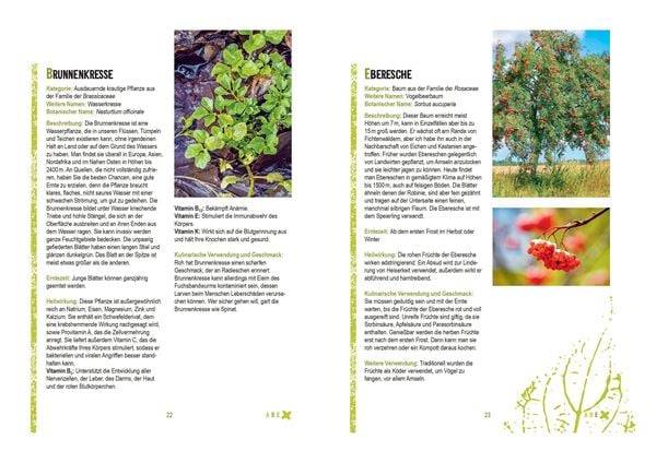 Survivalpflanzen. Die 100 wichtigsten Pflanzen zum Überleben in der Wildnis