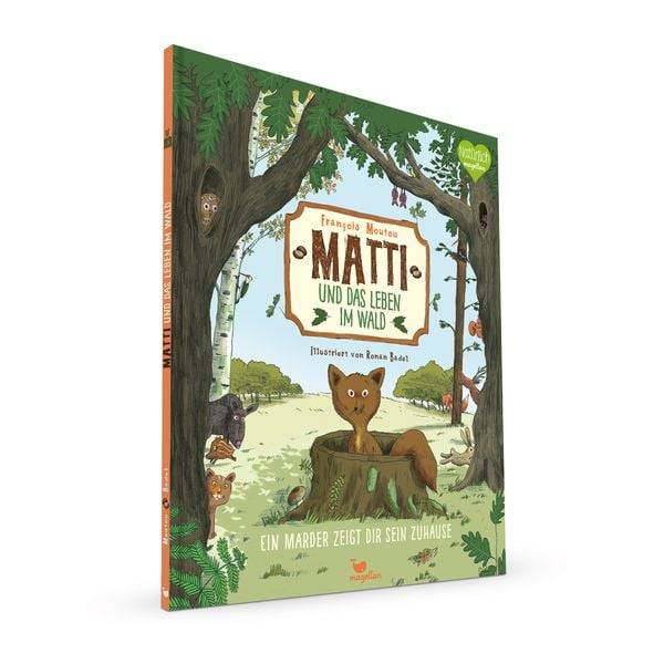 Matti und das Leben im Wald - Ein Marder zeigt dir sein Zuhause