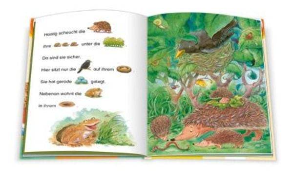 Vom kleinen Igel, der lieber ein ganz Großer wäre