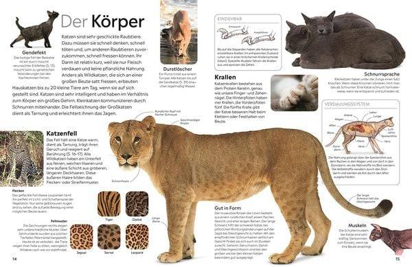 Memo Wissen. Katzen