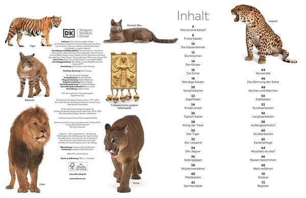 Memo Wissen. Katzen