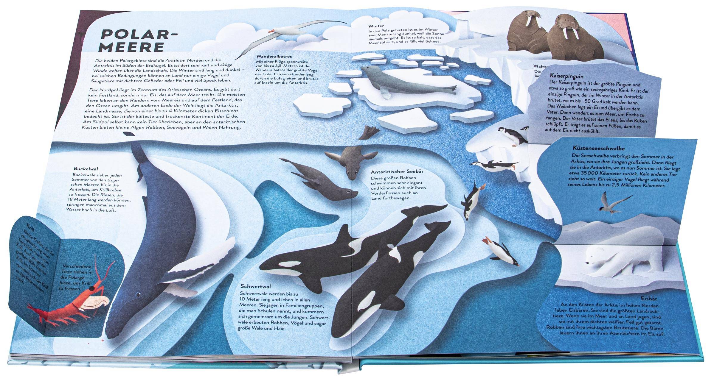 Wissenswelten. Ozeane