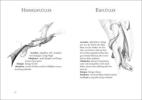 Die Insel der Nachtflügler / Wings of Fire Band 4