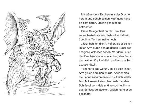 Ferno Herr des Feuers / Beast Quest Band 1