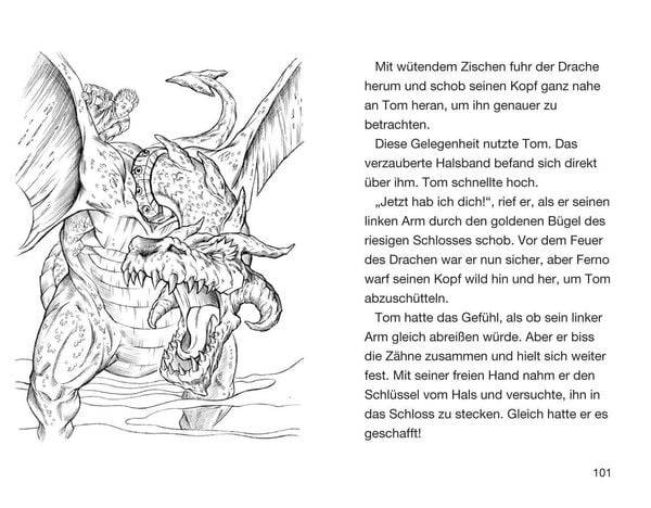 Ferno Herr des Feuers / Beast Quest Band 1