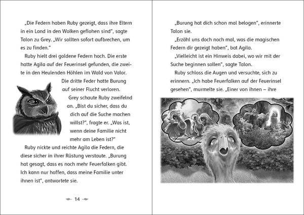 Der letzte Feuerfalke und das Wolkenland (Band 7)