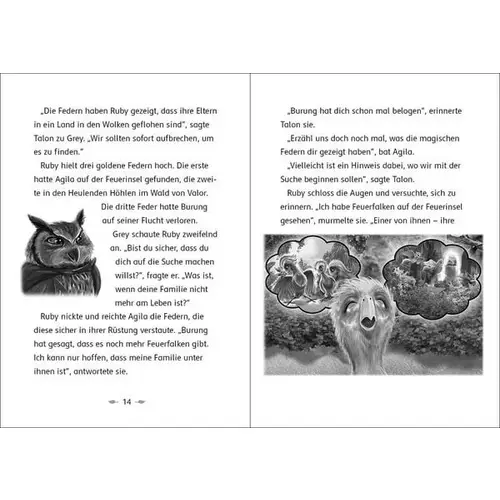 Der letzte Feuerfalke und das Wolkenland (Band 7) Der letzte Feuerfalke und das Wolkenland (Band 7)