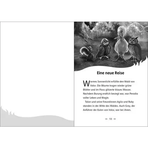 Der letzte Feuerfalke und das Wolkenland (Band 7) Der letzte Feuerfalke und das Wolkenland (Band 7)