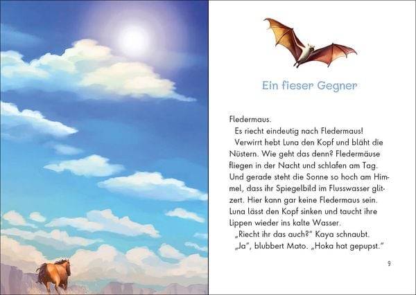 Wildpferde - mutig und frei (Band 2) - Im Tal der Gefahren