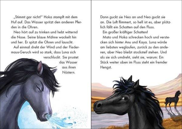 Wildpferde - mutig und frei (Band 2) - Im Tal der Gefahren