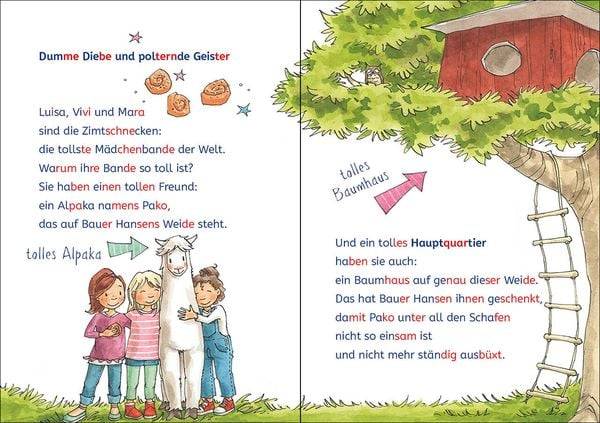 Leselöwen 2. Klasse - Die Mädchenbande auf Geisterjagd