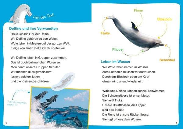 WAS IST WAS Erstes Lesen. Leserätsel Wale und Delfine