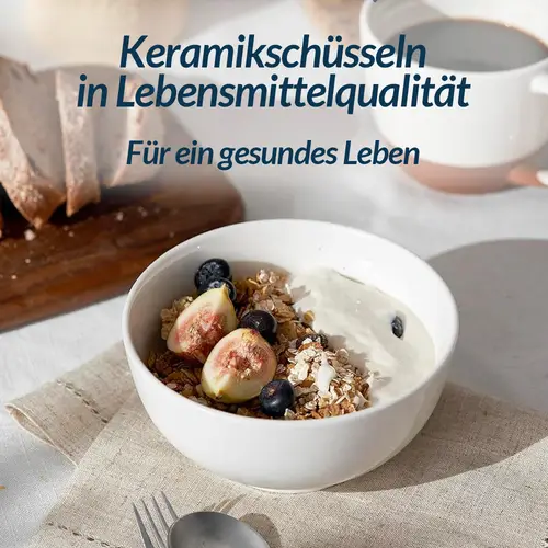 DOWAN 15×15×7 cm/650ml/4er Set Keramiksuppenschalen & Müslischalen für Suppe/Salat/Müsli, Mikrowelle und Geschirrspüler vorhanden,Weiß DOWAN 15×15×7 cm/650ml/4er Set Keramiksuppenschalen & Müslischalen für Suppe/Salat/Müsli, Mikrowelle und Geschirrspüler vorhanden,Weiß