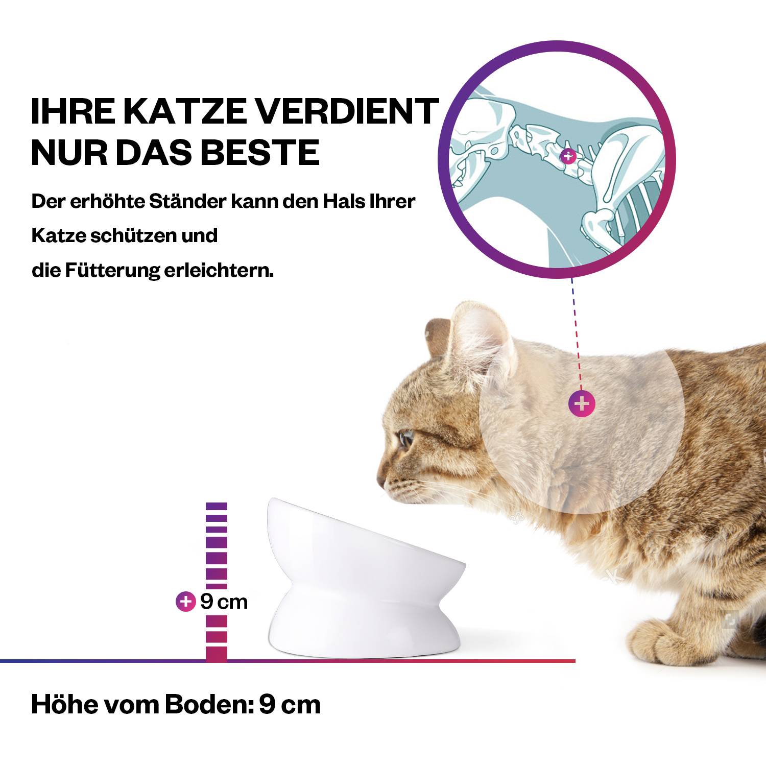 Y YHY 13×9cm/150ml Erhöhter Katzennapf, keramischer erhöhter, Neigungswinkel schützt die Wirbelsäule der Katze, Anti Erbrechen Katzennapf,Weiß