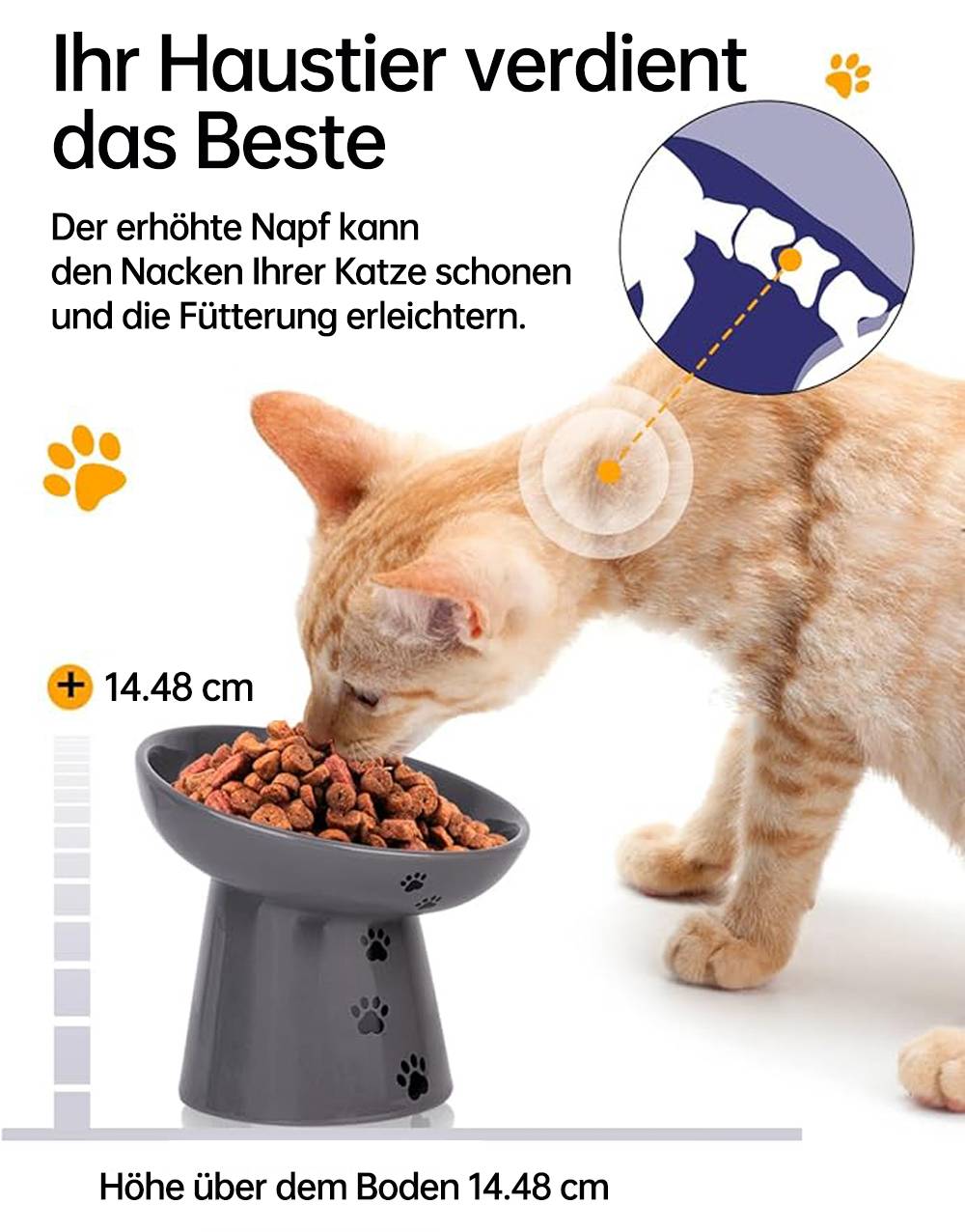 Eine Katze frisst aus einer erhöhten Schüssel, die ein Design zeigt, das den Nacken einer Katze beim Fressen schützt. Der Text hebt eine Höhe von 14,8 cm hervor.