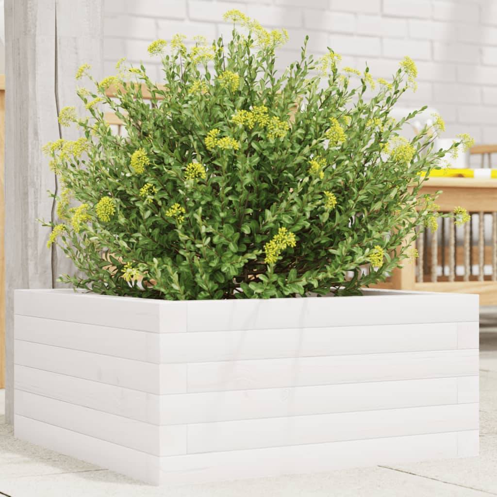 vidaXL Pflanzkübel Weiß 50x50x23 cm Massivholz Kiefer