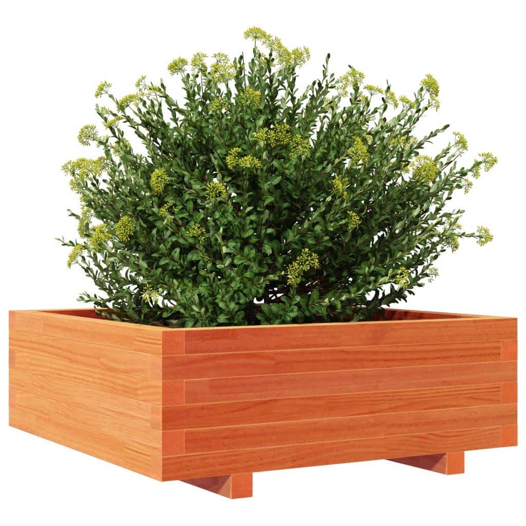 vidaXL Pflanzkübel Wachsbraun 70x70x26,5 cm Massivholz Kiefer