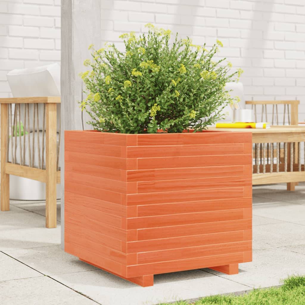 vidaXL Pflanzkübel Wachsbraun 50x50x49,5 cm Massivholz Kiefer