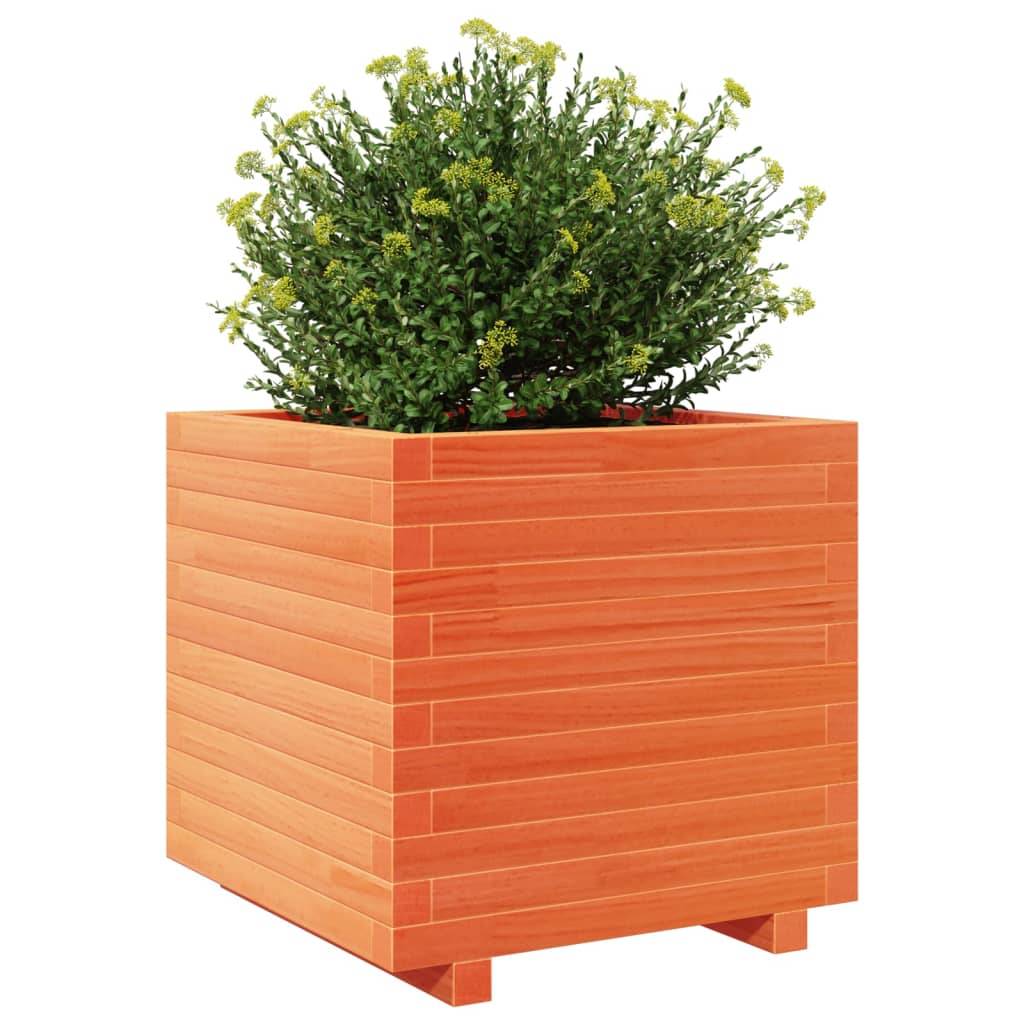 vidaXL Pflanzkübel Wachsbraun 50x50x49,5 cm Massivholz Kiefer