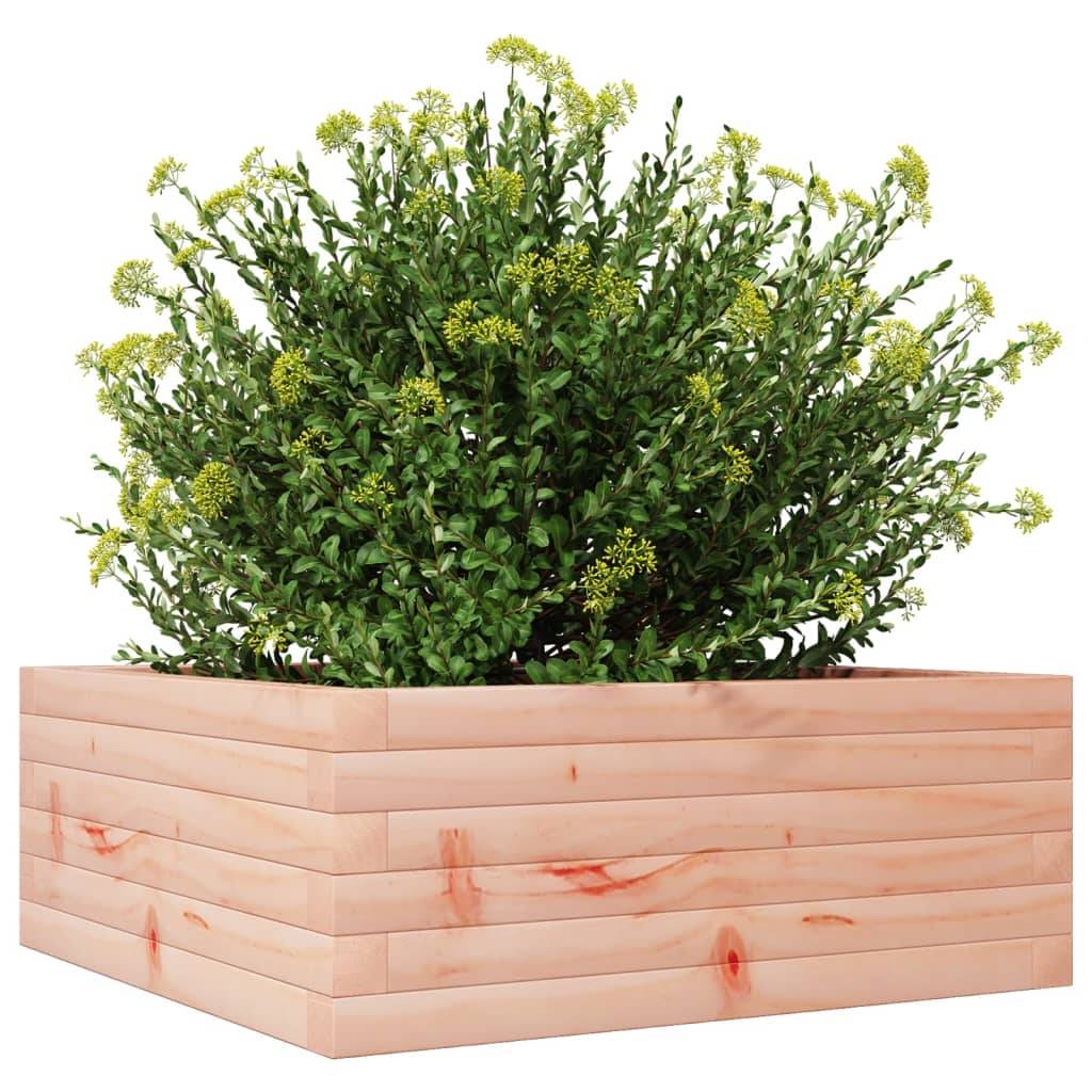 vidaXL Pflanzkübel 60x60x23 cm Massivholz Douglasie