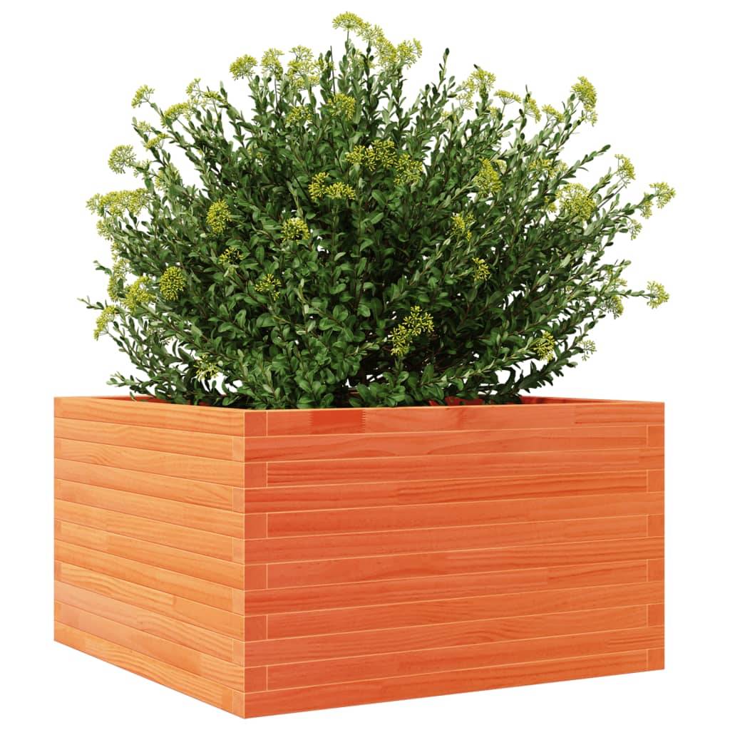 vidaXL Pflanzkübel Wachsbraun 80x80x45,5 cm Massivholz Kiefer