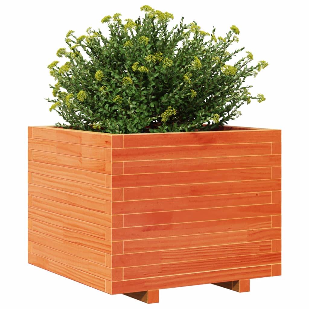 vidaXL Pflanzkübel Wachsbraun 60x60x49,5 cm Massivholz Kiefer
