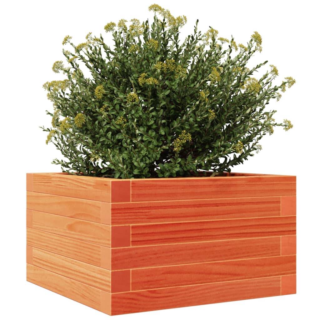 vidaXL Pflanzkübel Wachsbraun 40x40x23 cm Massivholz Kiefer
