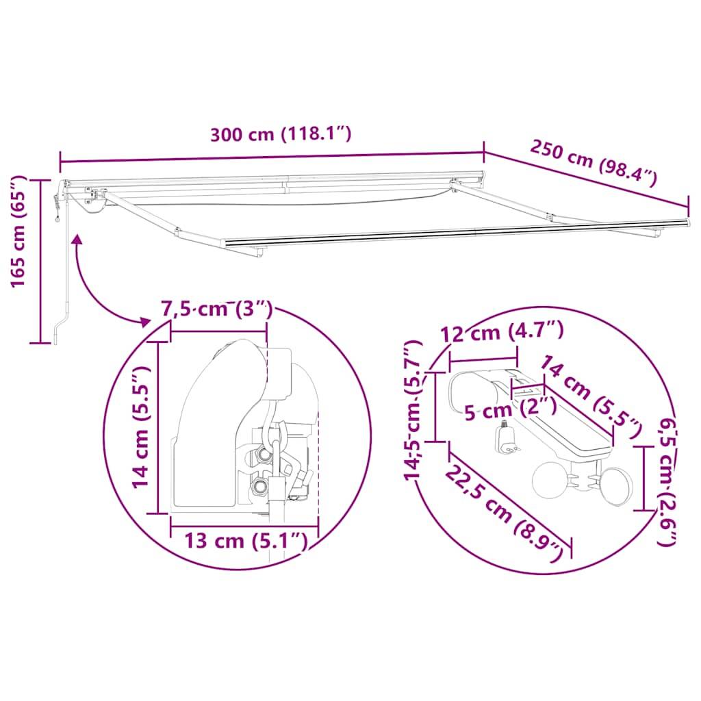 vidaXL Markise Automatisch mit LEDs Braun 300x250 cm