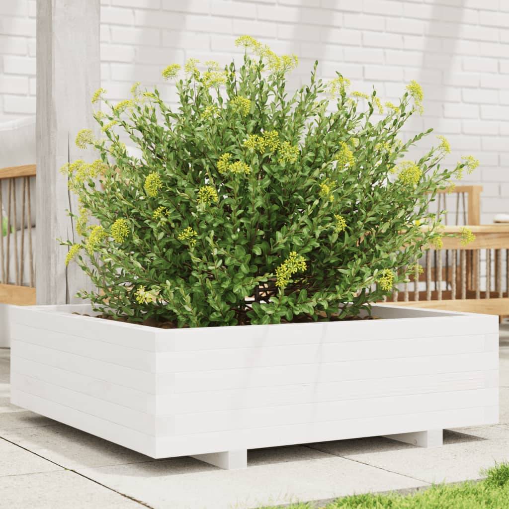 vidaXL Pflanzkübel Weiß 80x80x26,5 cm Massivholz Kiefer