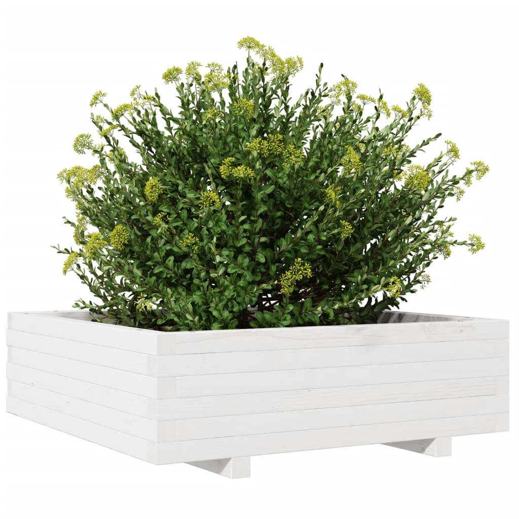 vidaXL Pflanzkübel Weiß 80x80x26,5 cm Massivholz Kiefer