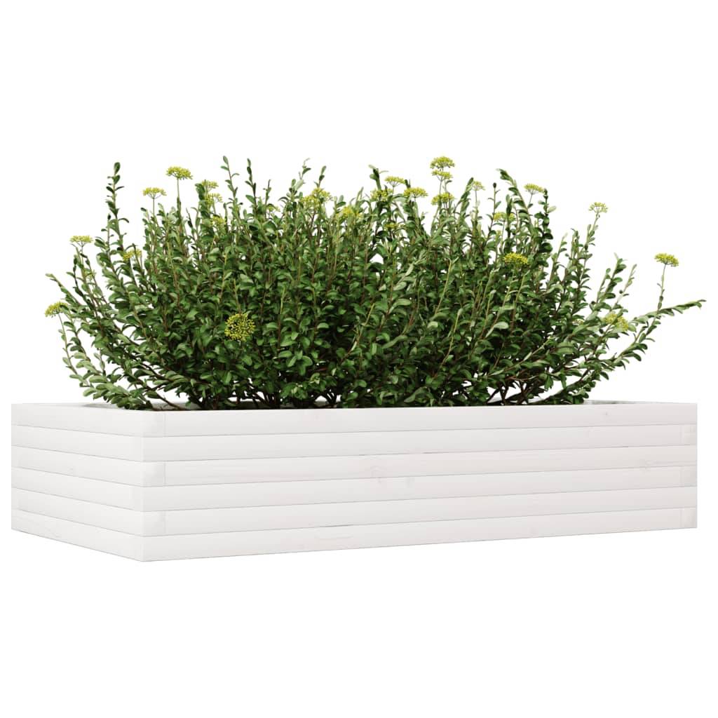 vidaXL Pflanzkübel Weiß 110x60x23 cm Massivholz Kiefer