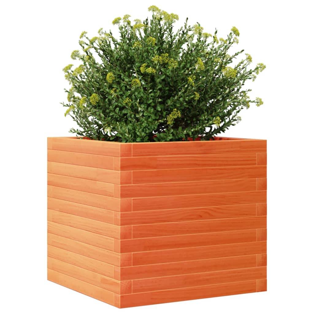 vidaXL Pflanzkübel Wachsbraun 50x50x45,5 cm Massivholz Kiefer