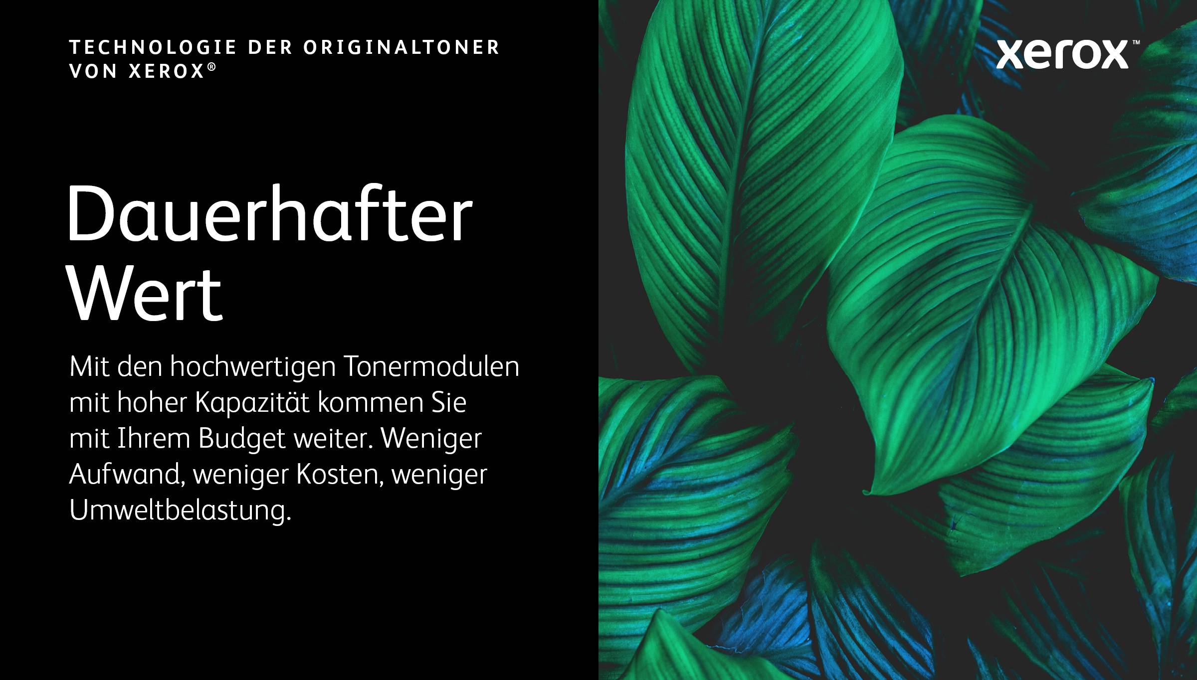 Xerox Mit hoher Kapazität - Magenta - original
