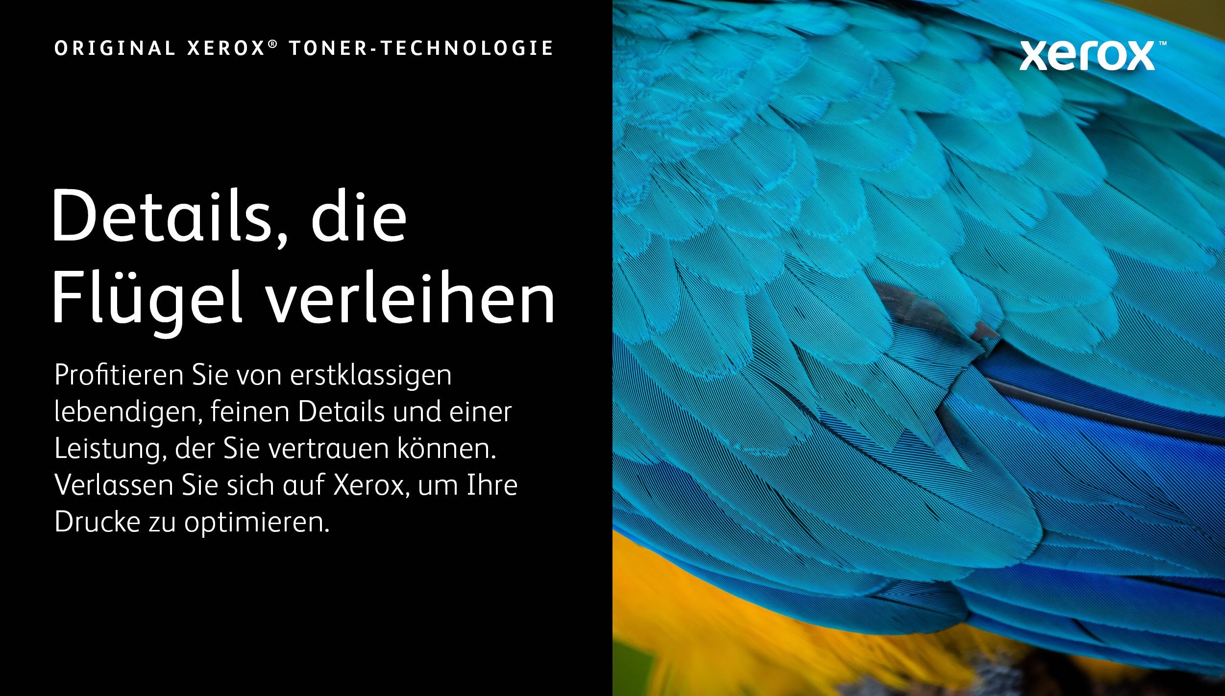 Xerox-Anzeige mit deutschem Text „Details, die Flügel verleihen