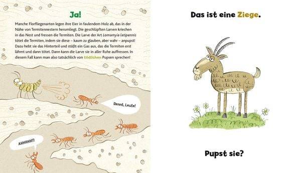 Wer hat hier gepupst?