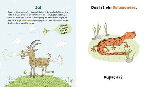 Wer hat hier gepupst?